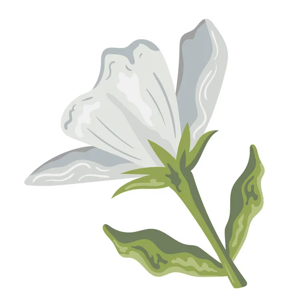 Exotic White Flower Garden Nature — Stock Vector