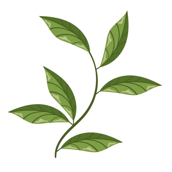Branch Green Leafs Foliage — Vector de stock