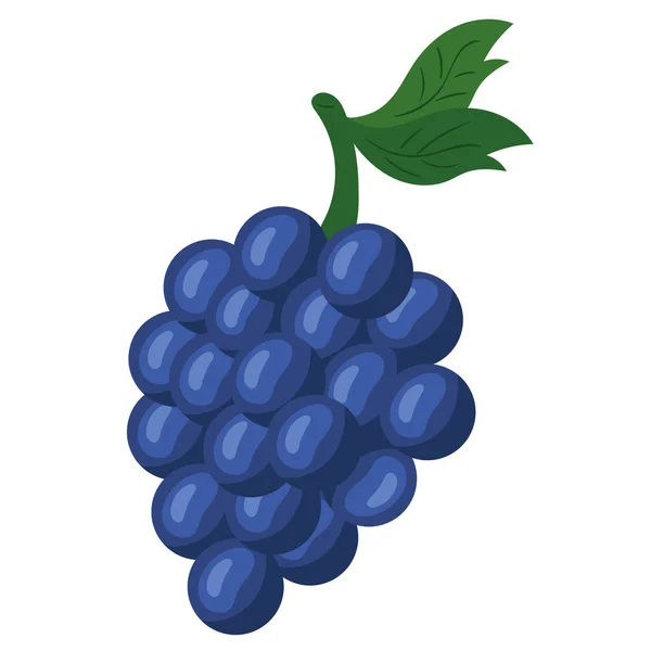 Fresh Grapes Fruit Healthy Icon — Stock Vector