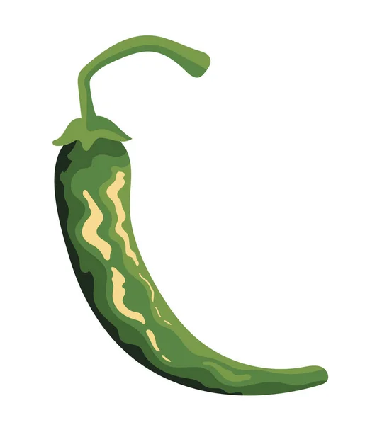 Зеленый Перец Чили Икона Овощей — стоковый вектор