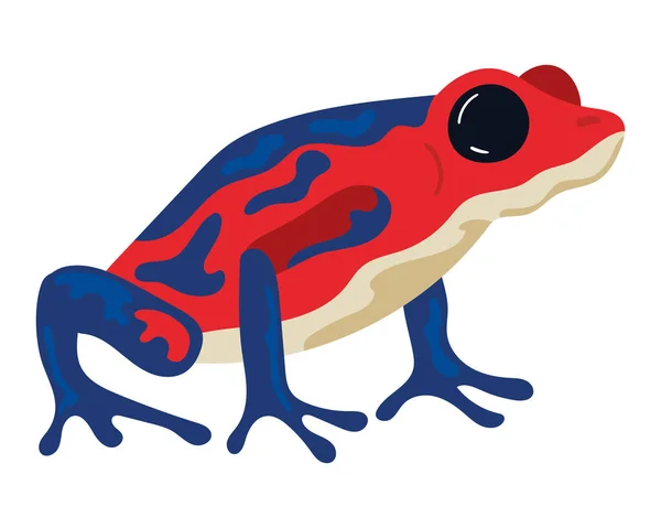 Red Blue Frog Exotic Animal — Vector de stock