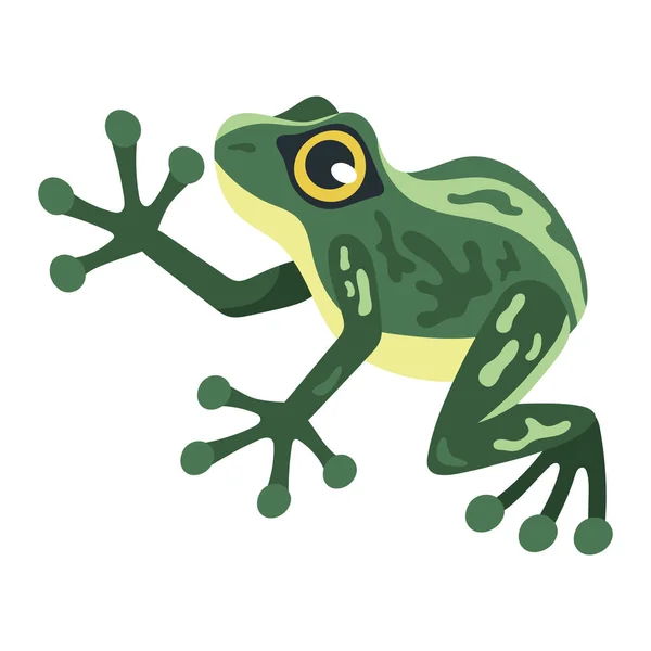 Green Frog Exotic Animal Character — Vector de stock