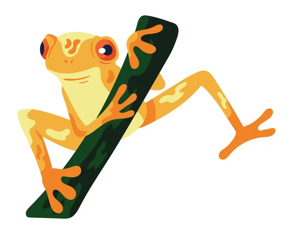 Frog Branch Exotic Animal — Vector de stock
