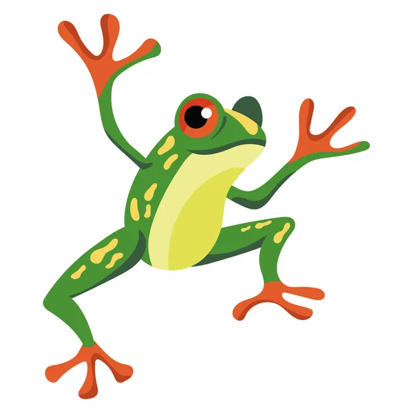 Green Color Frog Exotic Animal — Vector de stock