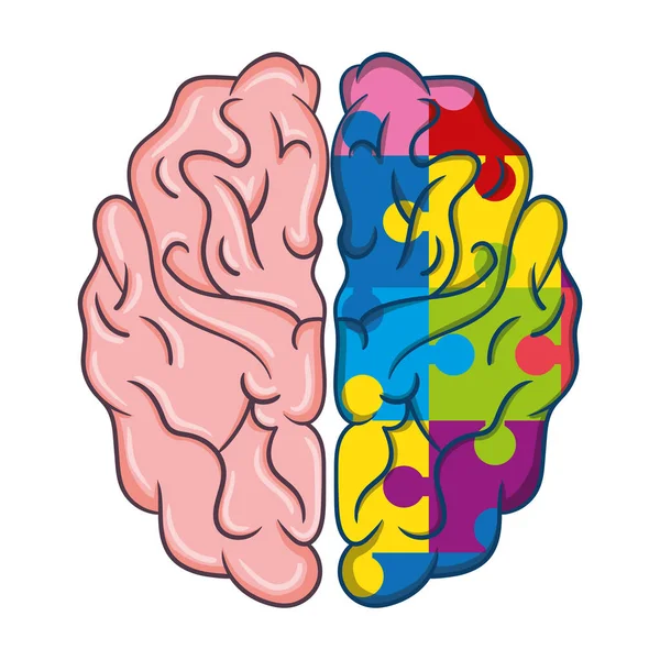 Puzzle Pieces Brain Organ Icon —  Vetores de Stock