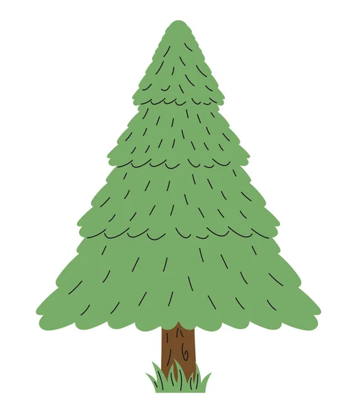 Pine Tree Plant Forest Nature Icon — Stockový vektor