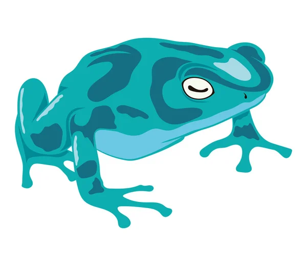 Light Green Frog Amphibian Animal — Stock Vector