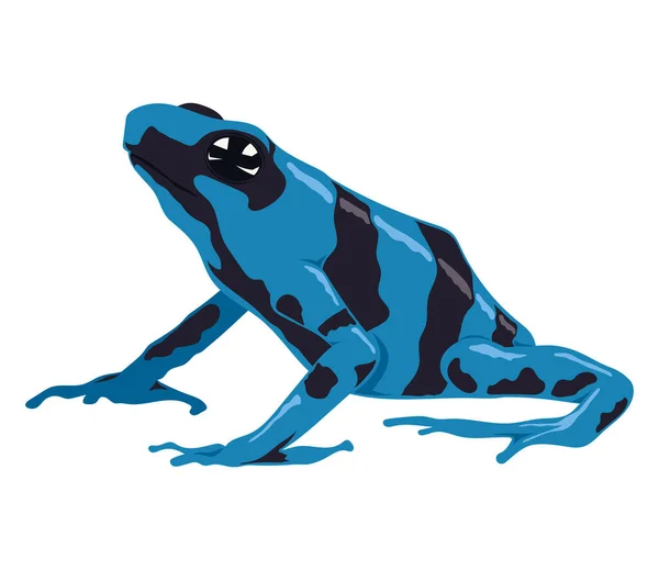 Animal Anfibio Rana Azul Negro — Vector de stock