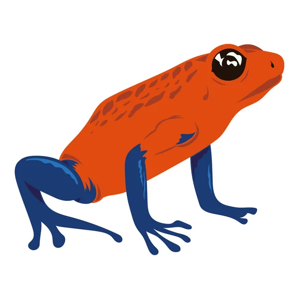 Grenouille Rouge Bleue Amphibien Animal — Image vectorielle