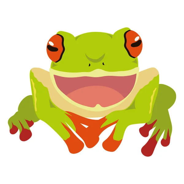 Grüner Frosch Amphibie Exotisches Tier — Stockvektor