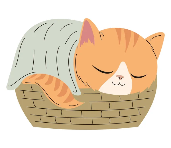 Chat Dormir Dans Panier Caractère — Image vectorielle