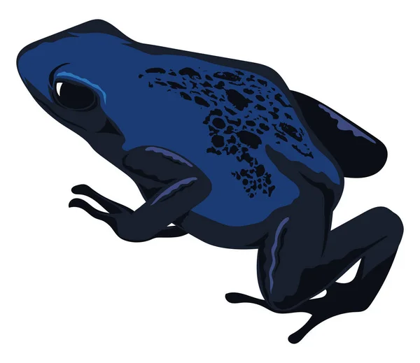 Blauwe Kikker Amfibie Exotisch Dier — Stockvector