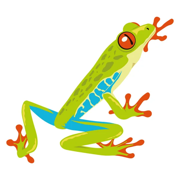 Grenouille Verte Bleue Amphibien Animal — Image vectorielle