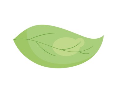 Yaprak bitkisi yaprağı doğa simgesi