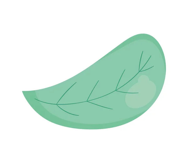 Green Leaf Plant Foliage Nature Icon — ストックベクタ