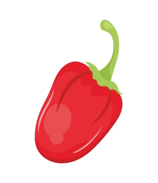 波布拉诺红辣椒图标 — 图库矢量图片