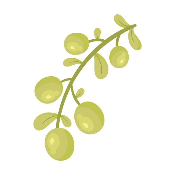 Branch Green Olive Seeds Icon — Stock Vector