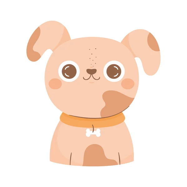 かわいい犬動物かわいいキャラクター — ストックベクタ