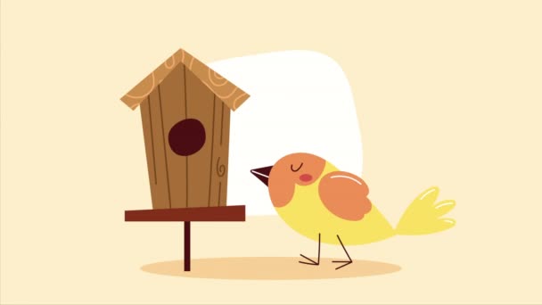 Casa Pássaros Madeira Com Animação Pássaros Vídeo Animado — Vídeo de Stock