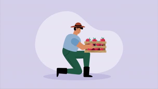 Agricultor Masculino Com Tomates Animação Cesta Vídeo Animado — Vídeo de Stock