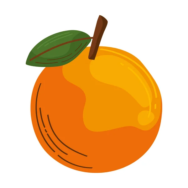 Świeże Owoce Pomarańczy Zdrowa Ikona — Wektor stockowy