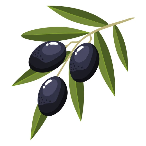 Branch Black Olive Seeds Icons — Vettoriale Stock