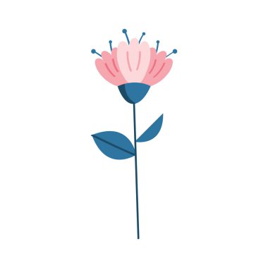 Pembe gül bahçesi doğası