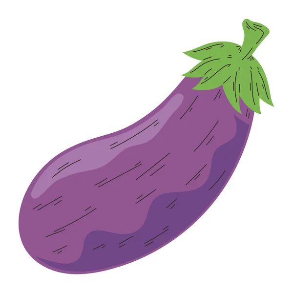 Fresh Eggplant Vegetable Healthy Food — Stock Vector