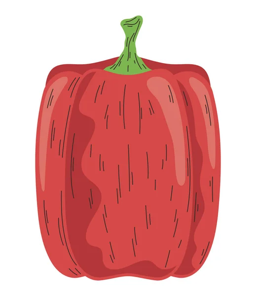 Färsk Peppar Grönsaker Hälsosam Mat — Stock vektor