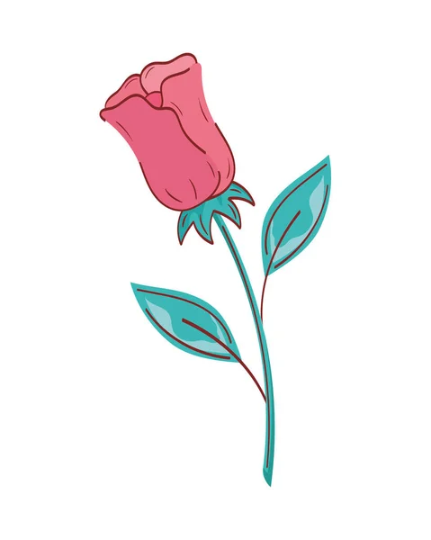 Rosa Rossa Fiore Giardino Natura — Vettoriale Stock