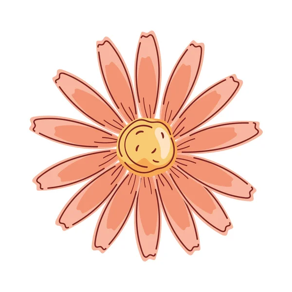 Fleur Orange Jardin Décoration Nature — Image vectorielle