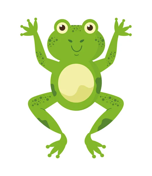 Smiling Toad Mascot Icon Isolated — Stock Vector