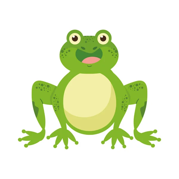 Cartoon Toad Mascot Sitting Icon Isolated — Stock Vector