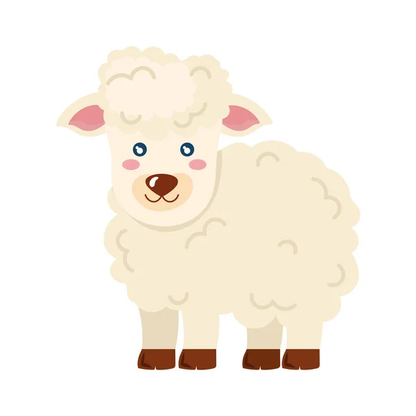 Ícone Animal Bonito Fazenda Ovelhas Lanosas Isolado —  Vetores de Stock