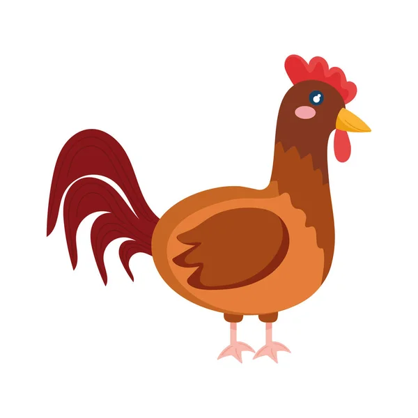 Rooster Farm Animal Icon Isolated — Stock Vector