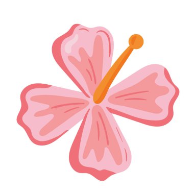 çiçek amber çiçeği doğa simgesi izole