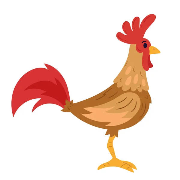 Standing Rooster Farm Animal Icon Isolated — Stock Vector