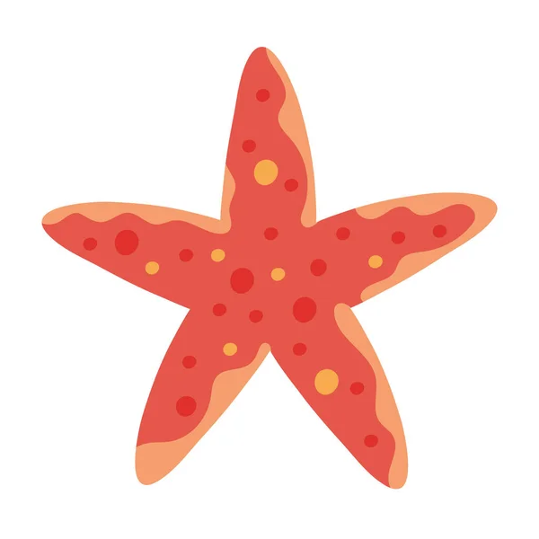 Starfish Animal Tropical Icon Isolated — Stock Vector