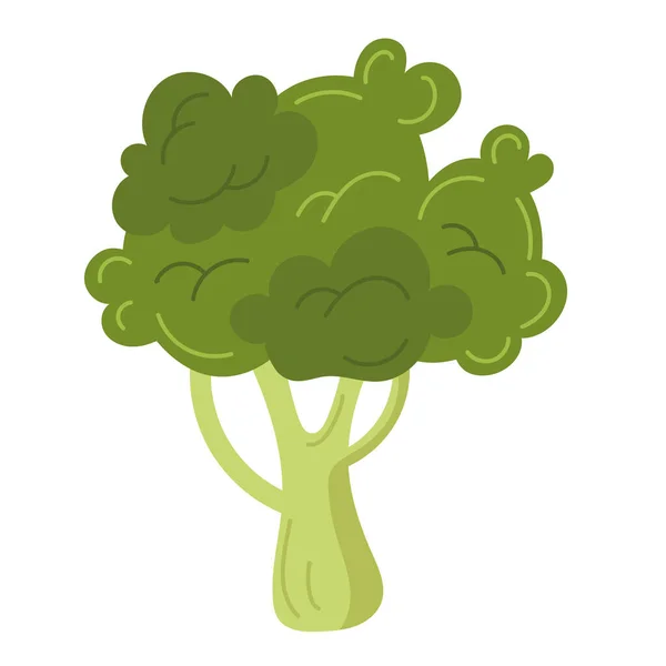 Brokoli Organik Segar Makanan Dan Ikon Memasak - Stok Vektor