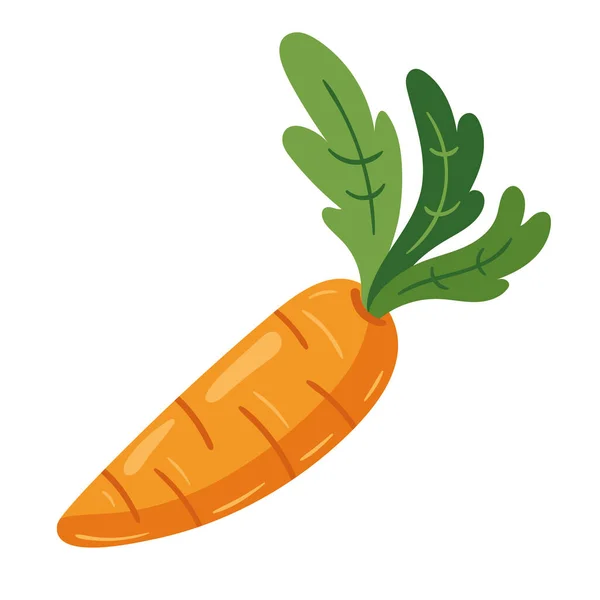 Свежие Органические Морковные Продукты Икона Приготовления Пищи — стоковый вектор