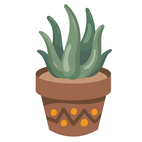 Plante Fraîche Pot Avec Des Feuilles Succulentes Icône Isolé — Image vectorielle