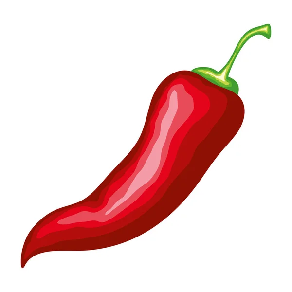 Frische Chili Reife Schärfe Und Geschmack Symbol Isoliert — Stockvektor