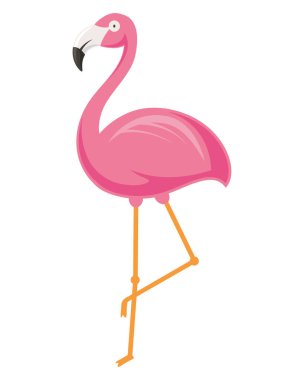 Pembe Flaman beyazın üzerinde dimdik duruyor