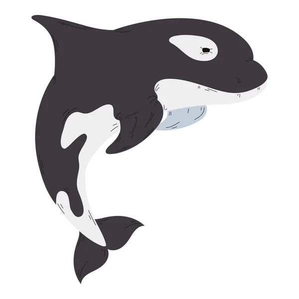 Niedlicher Killerwal Schwimmt Über Weiß — Stockvektor
