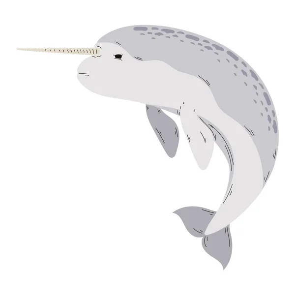 Cute Narwhal Design White — Stock Vector
