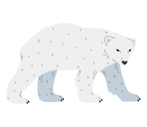 白地にかわいい北極熊のデザイン — ストックベクタ