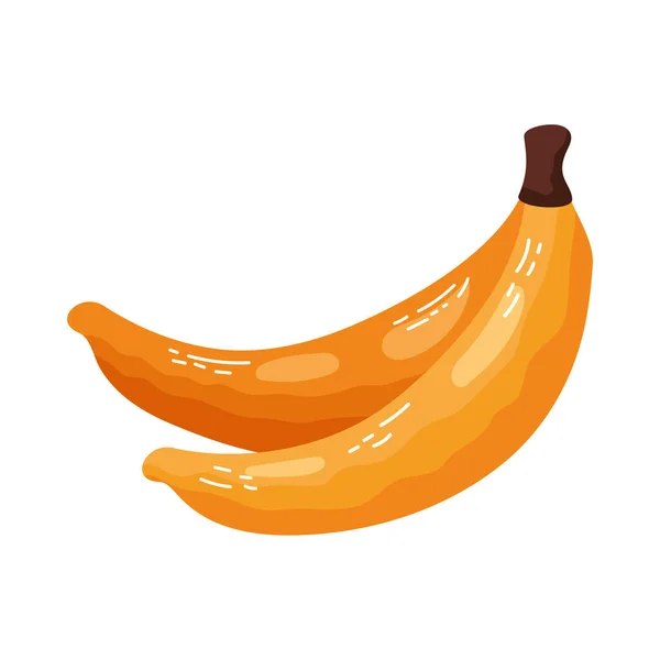 바나나 바나나 — 스톡 벡터