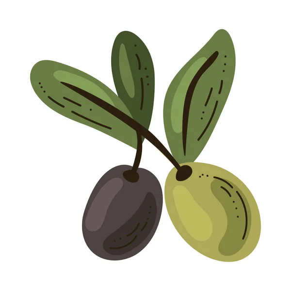 Organic Berry Branch White — Stock Vector