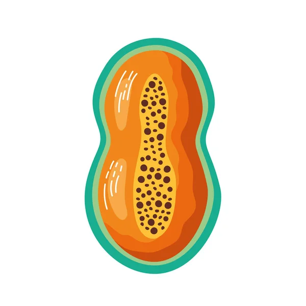 Tranche Papaye Mûre Sur Blanc — Image vectorielle