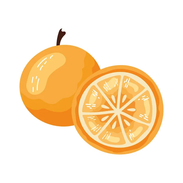 白で新鮮なオレンジ スライス — ストックベクタ